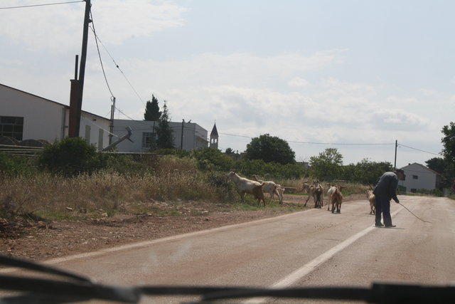 gal/cro 08/small-IMG_5552.JPG